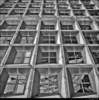 Canon_EOS_450D_20110513_045734_IMG_1273.jpg