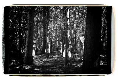 POLAROID_GIANTFORMAT b WOODS GROOT.jpg