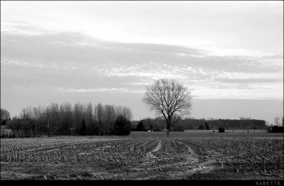Scan-110213-0003.jpg