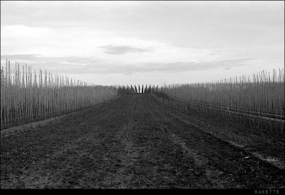 Scan-110213-0011.jpg
