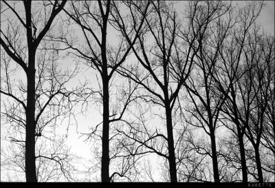 Scan-110213-0016.jpg