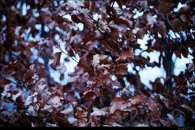 Scan-110326-0031edit.jpg