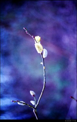 Scan-110326-0035edit.jpg