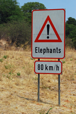 Elephant speed limit.jpg