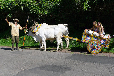 Ox cart ride.jpg