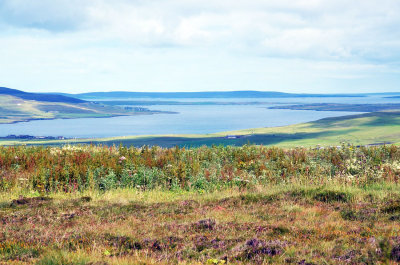 Orcadian landscape.jpg