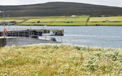 Wyre looking across to Rousay.jpg