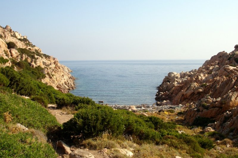 Caprera, trail to cala Coticciu