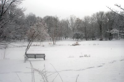 Winter, NY state, U.S.A.