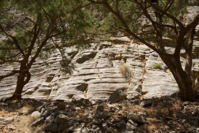 Samaria gorges