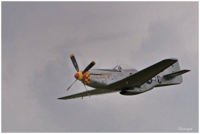 Mustang P 51 D