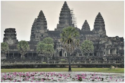 Temple d'Angkor - Cambogia