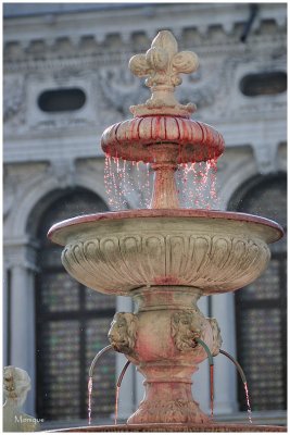 La fontaine du vin  Piazza  San Marco 
