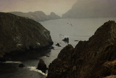 Anacapa Island