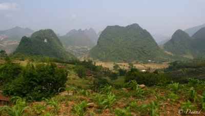 Landscape Near Bao Lac - Cao Bang District.