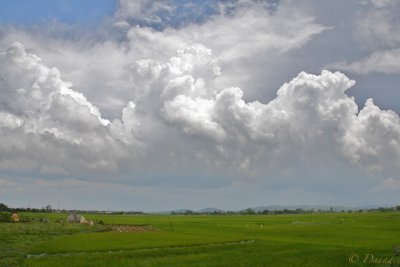 AFTER THE STORM - QUANG NINH PROVINCE