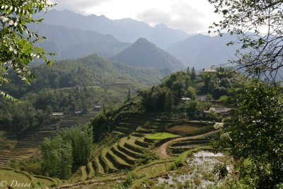 TO CAT CAT - LAO CAI PROVINCE