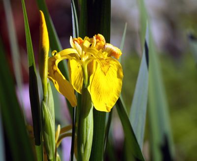 PICT1178_edited-1.jpg