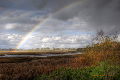 Rainbow Over The Back Bay