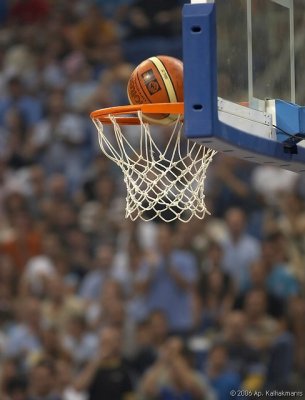 :: Sports ::