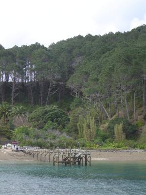 Scenic Bay of Islands (3).JPG