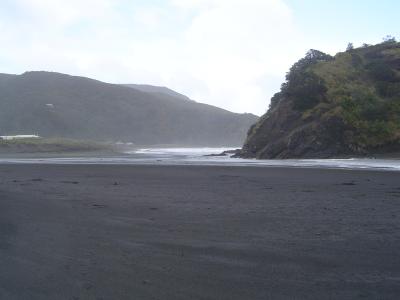 g4/74/267674/3/52011878.WaitakereRangesPihaBeachGannetColonyPihabeach1.jpg