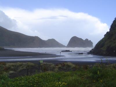 g4/74/267674/3/52011880.WaitakereRangesPihaBeachGannetColonyPihabeach.jpg