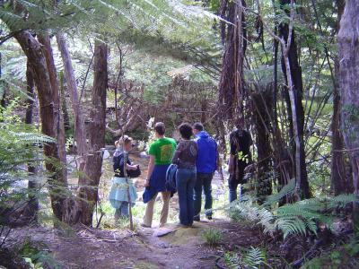 A walk in the bush (1).JPG