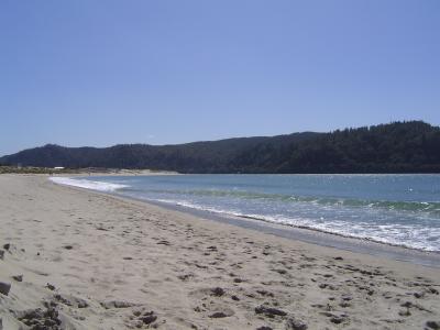 The beach at Whangamata (1).JPG