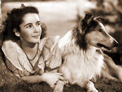 Lassie.jpg