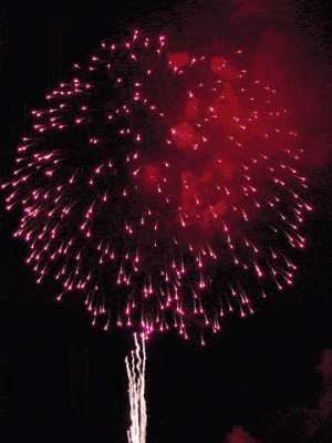 0a1337c0a8_o.gif