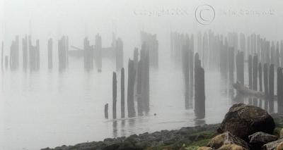 Foggy Morning on the Columbia River