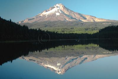 Mt Hood Reflection