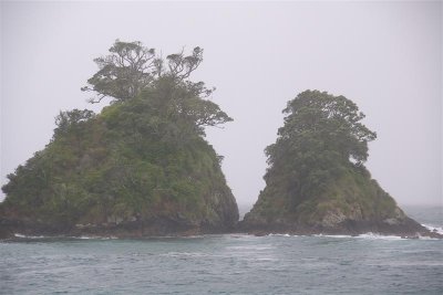 Bay of Islands3