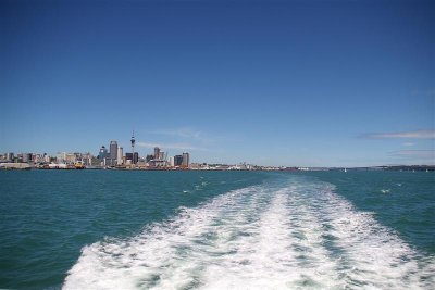 Skyline Auckland 11