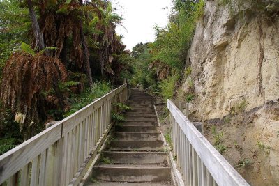 Waimanga Valley Stair