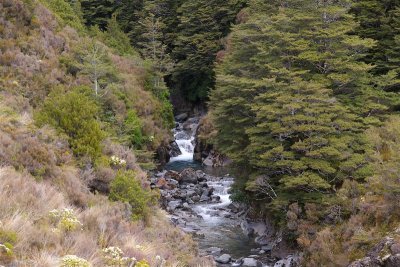 Tongariro National Park 7