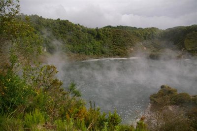 Waimanga Valley2 (Medium).JPG