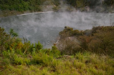 Waimanga Valley3 (Medium).JPG