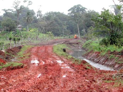 Arreglando Camino