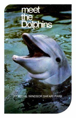 pmeet the dolphins f.jpg