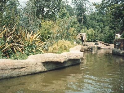 1991 shots of Windsor Safari Park