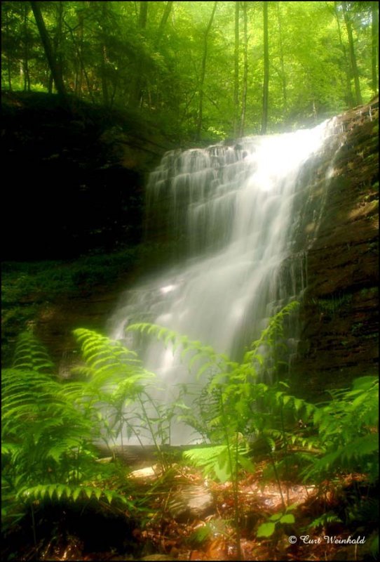 LB of Campbell Run