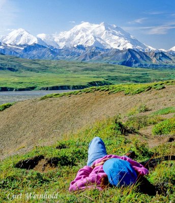 Denali & Penny at Eielson