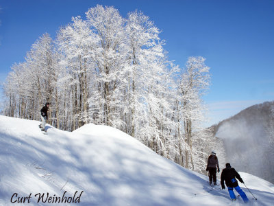 Skiers & boarders on SkiDenton's backcountry