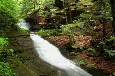 Pine Island Falls