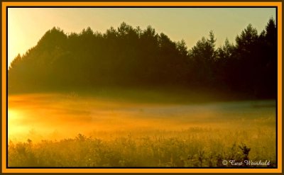 Morning fog on Denton Hill