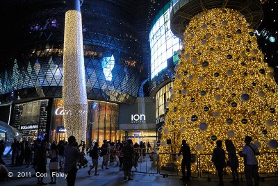 Ion @ Orchard