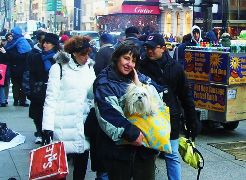 Bag o' dog