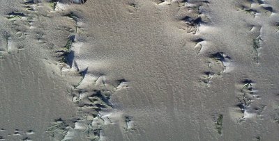 windblown sand.jpg